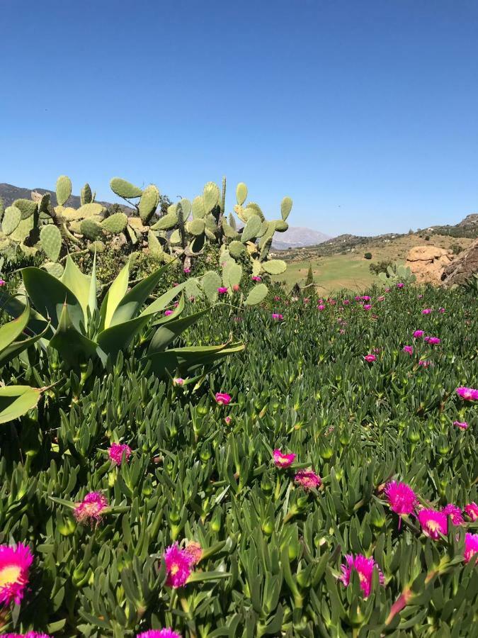 Casa Grande / Rosas Cantares Pizarra Bagian luar foto